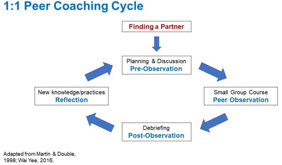 1:1 Peer Coaching Program | VFMP Hub